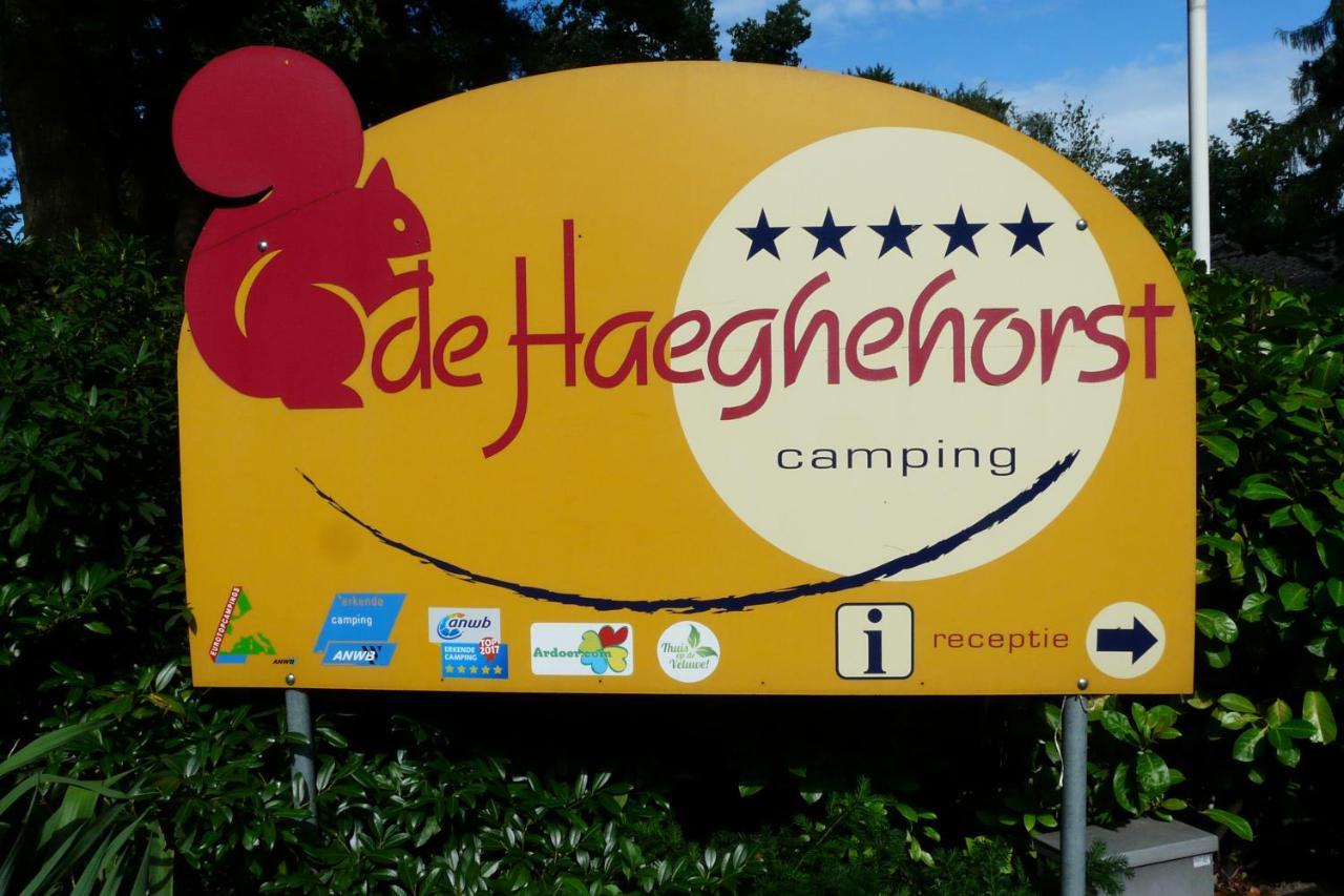 Dolfijn * Ermelo